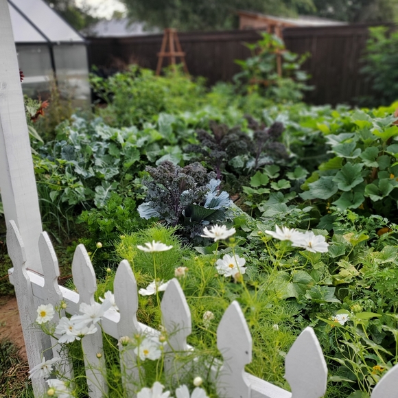 Meet your Posher, Jackie - Picture 3 of 4